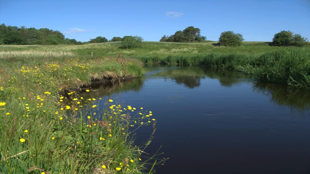 Å fiskeri - Lerkenfeld Å