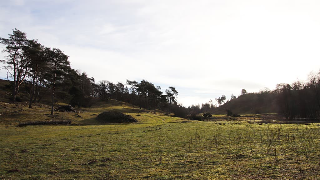 Kapeldalen og Sct. Margrethes kapel