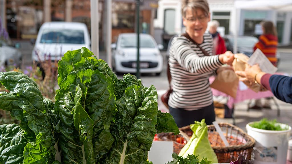 Nytorvboder på Nytorv i Viborg