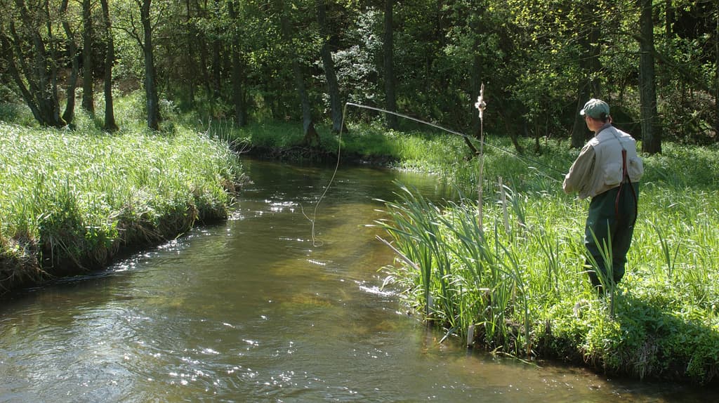 Simested Å ved Viborg