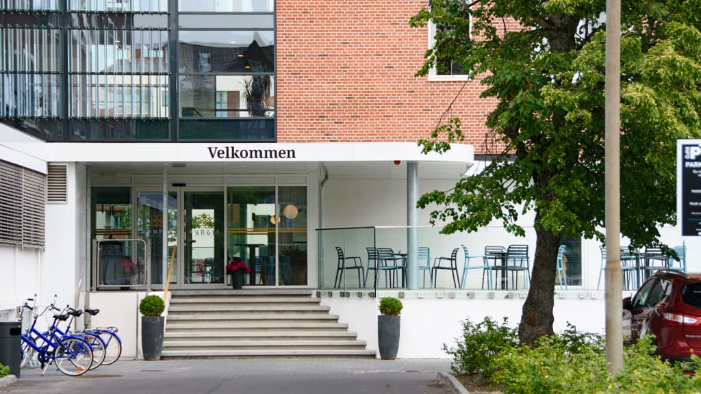 Indgangsparti sommer