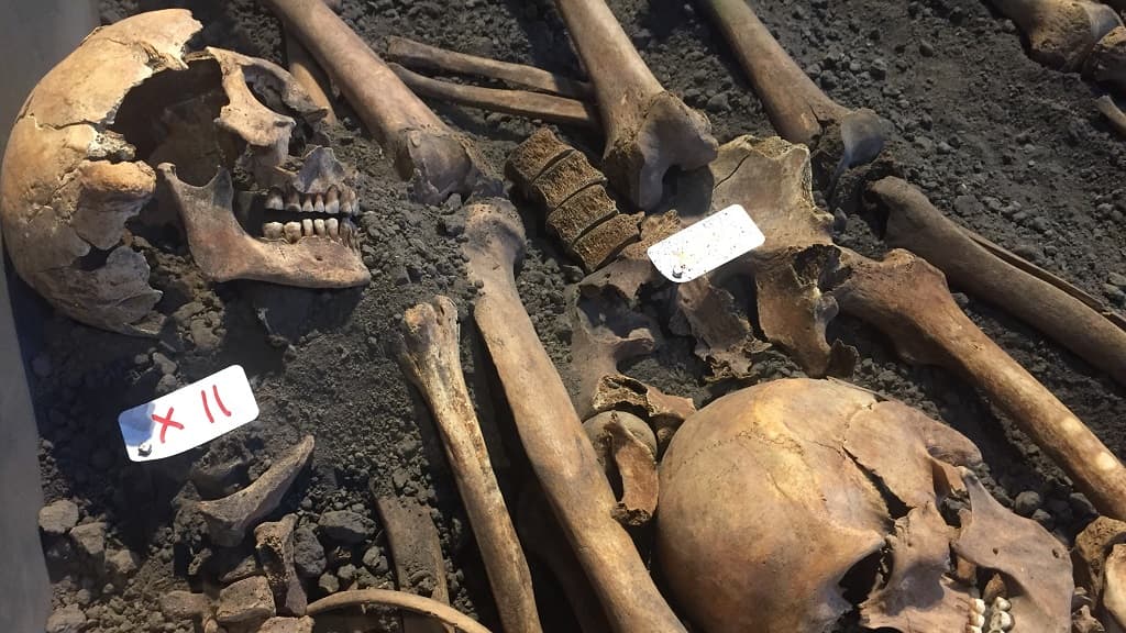 Aalborg Historische Museum