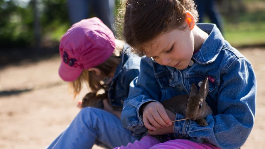 Nymarksminde Farmpark