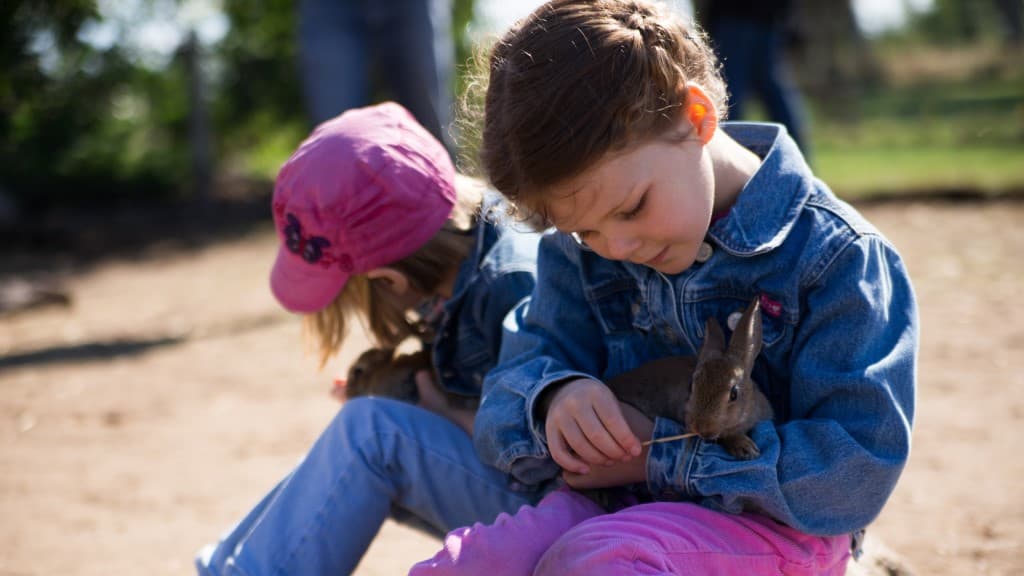 Nymarksminde Bondegårdsferie