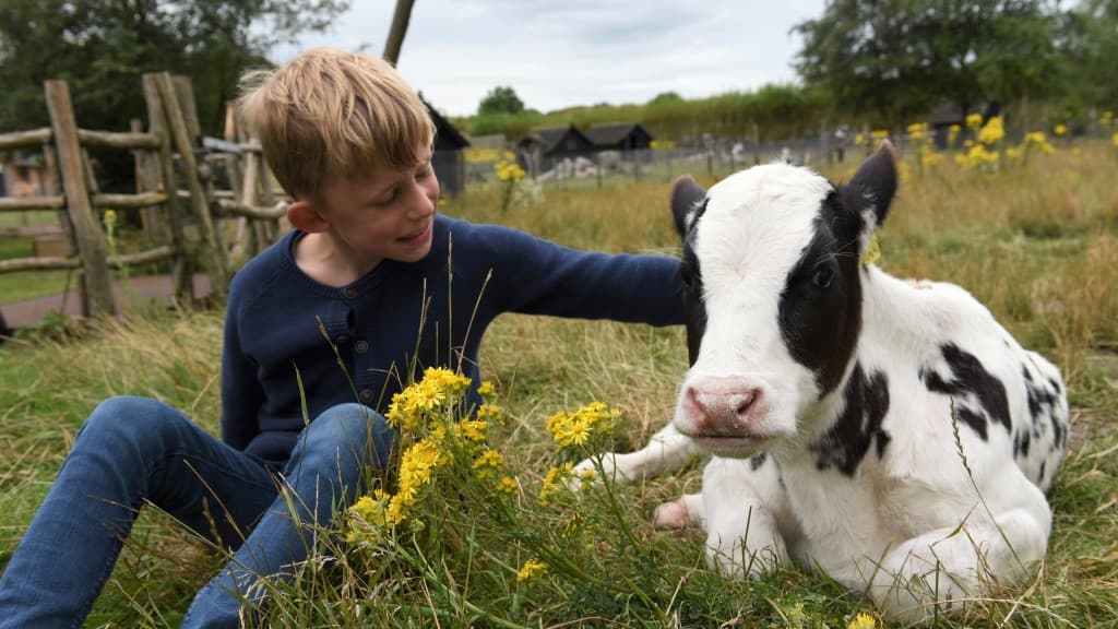 Nymarksminde Farmpark
