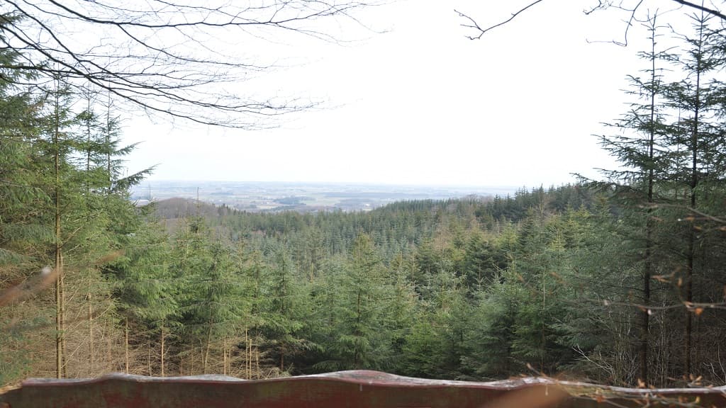 Dronninglund Wald und Sømosen