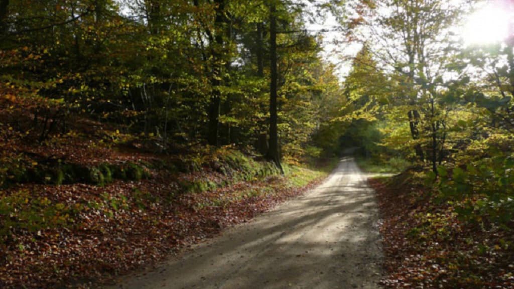 Fredet område: Grevsmosen, Slettingen, Fejborg Bakke og Bollebakken