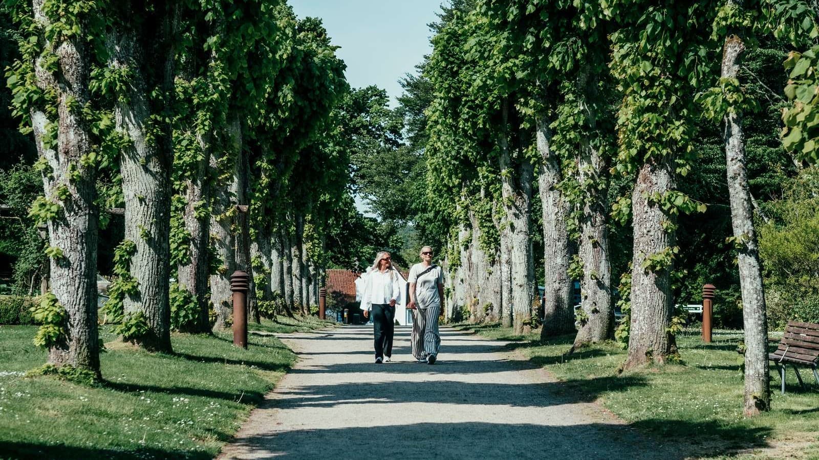 bangsbo botaniske have