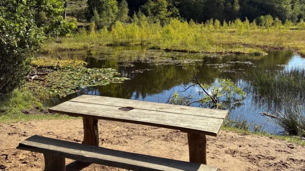 Hammer Bakker - Hærvejens perle