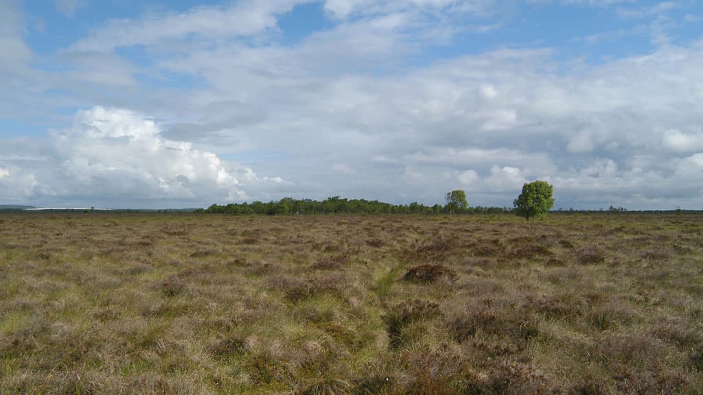 Die himmerländische Heiden