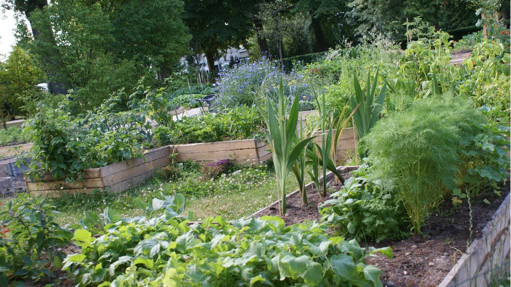 Street art - Karolinelund