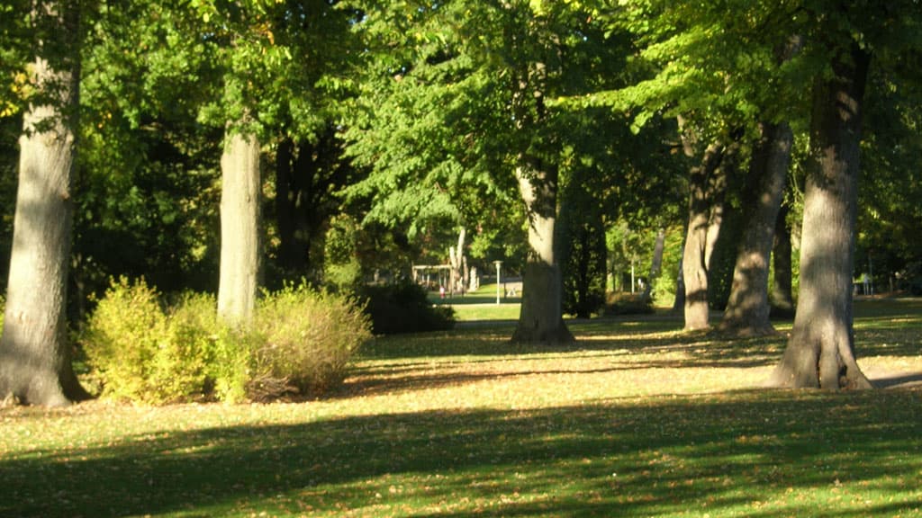 Bundgårdsparken i Aalborg