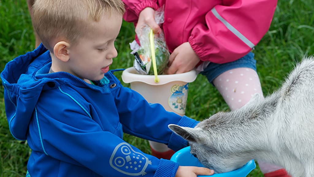 Nymarksminde Farmpark
