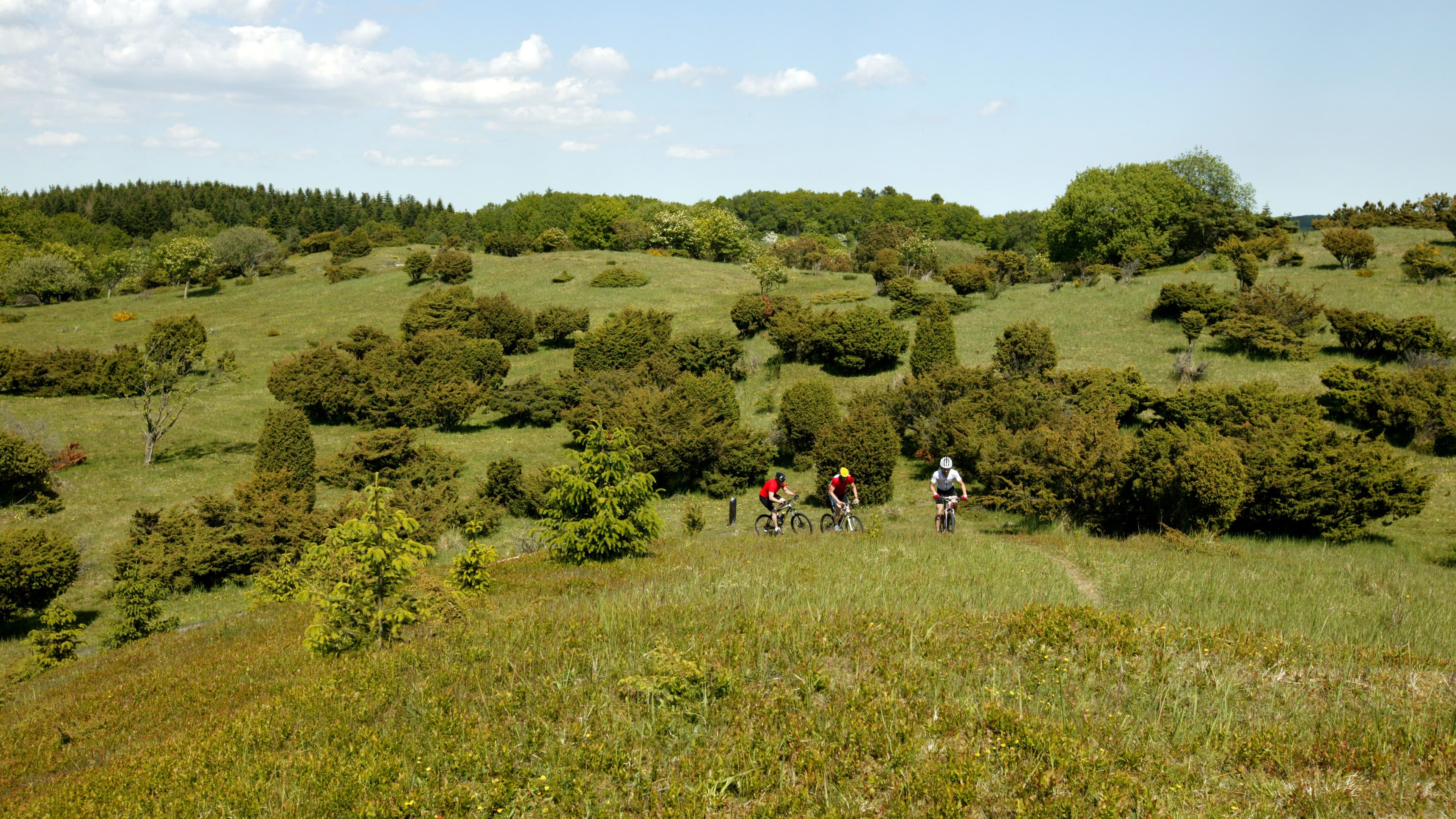 Mennesker der cykler i bakken