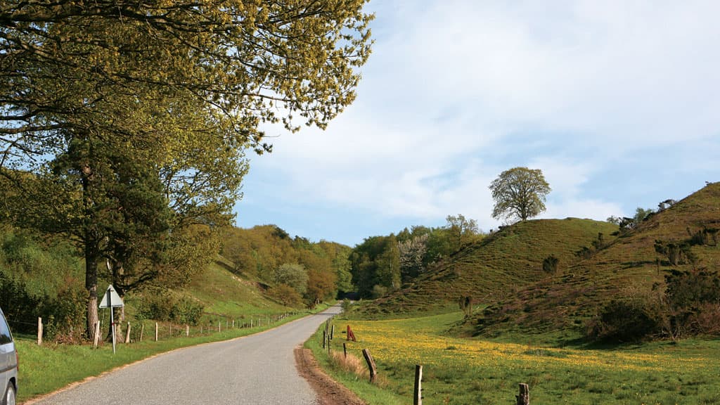 Hald und Dollerup Berge