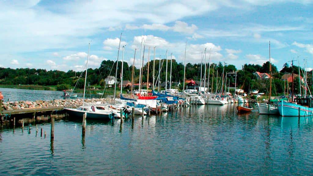 Hjarbæk Strandpark ved Hjarbæk Fjord