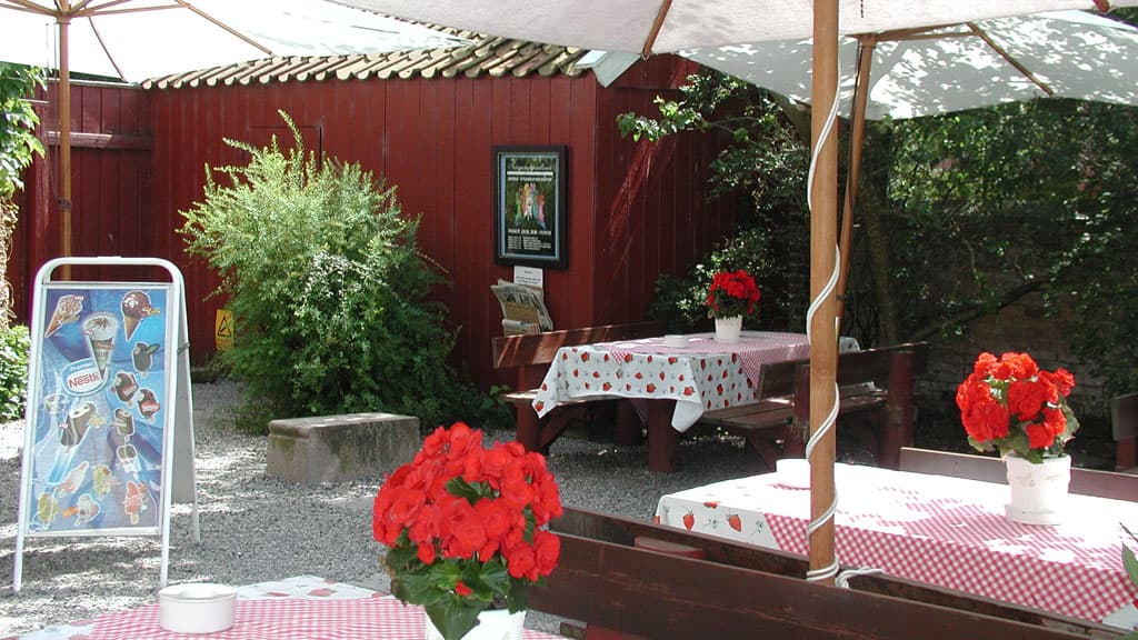 Skovgaard Museets Have