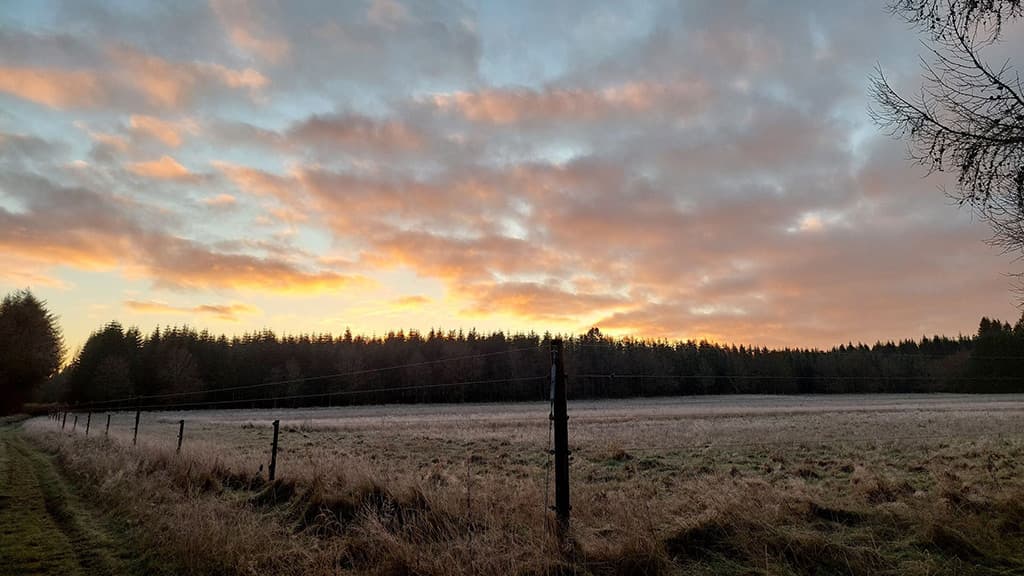 Kongsø b&b - et blik ud over markerne