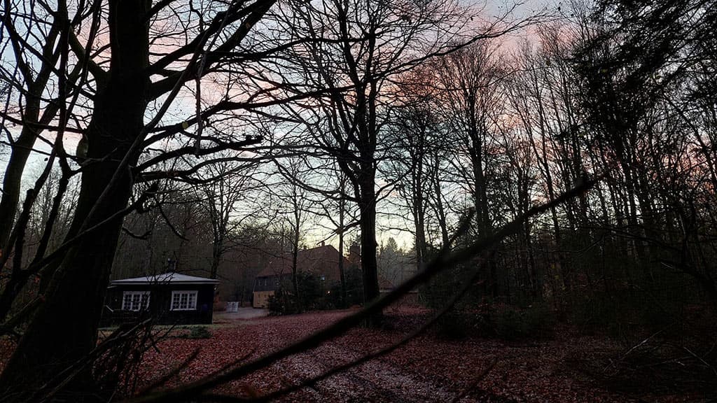 Kongsø b&b midt i skoven