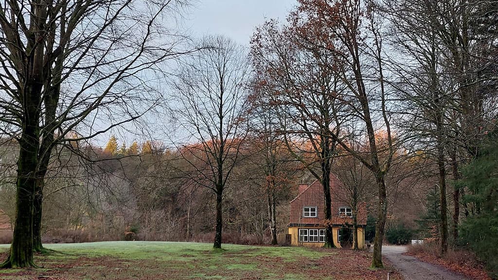 Kongsø b&b midt i skoven