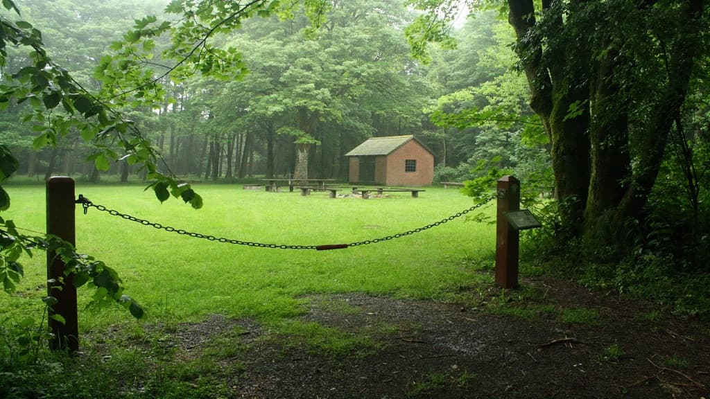 Frøslev Plantage, ved Bossens Sten