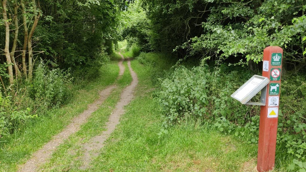 Lyreskoven Hundeskov