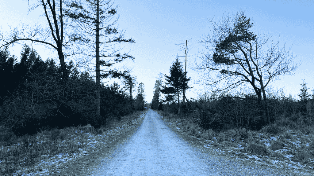 Frøslev Polde-stien