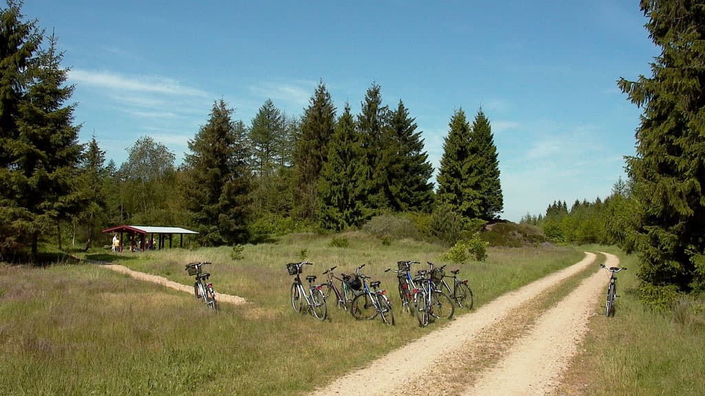 Bolderslev og Uge skove