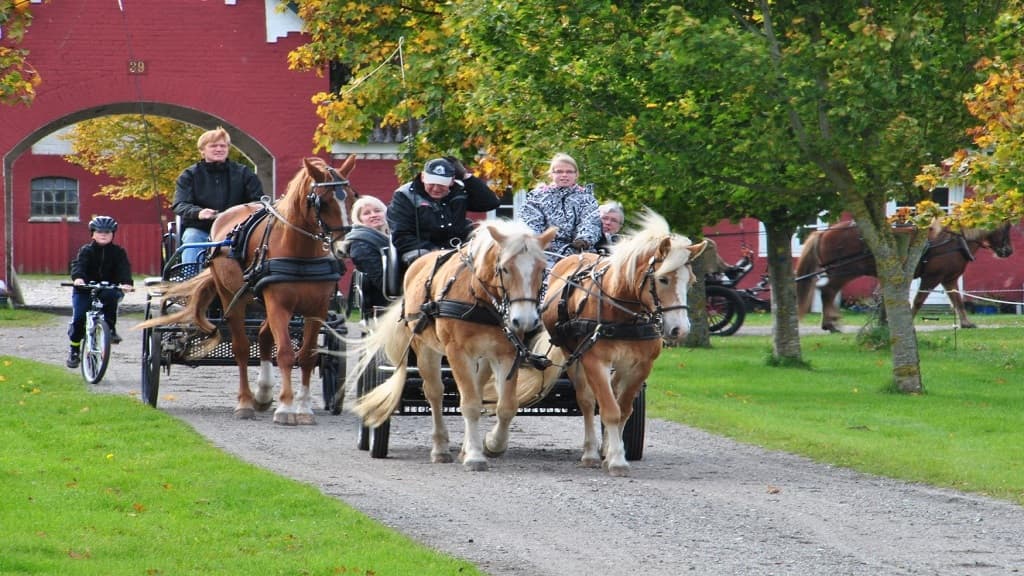 Holtegaard Bed & Breakfast