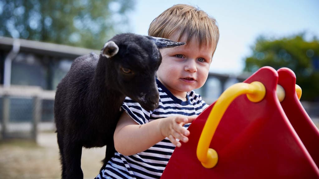 Givskud ZOO - ZOOTOPIA