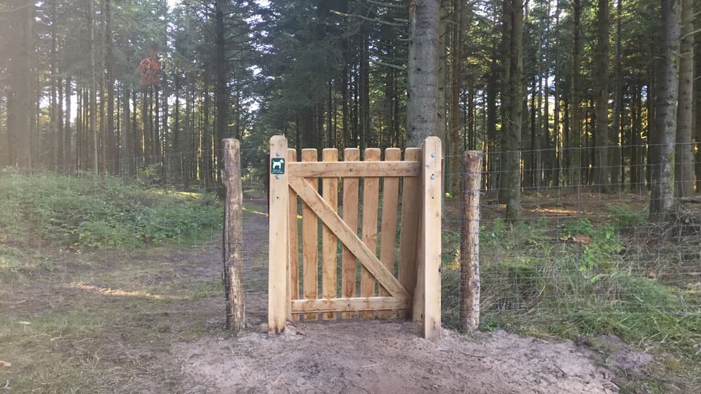 Hundeskov, Tornby Klitplantage