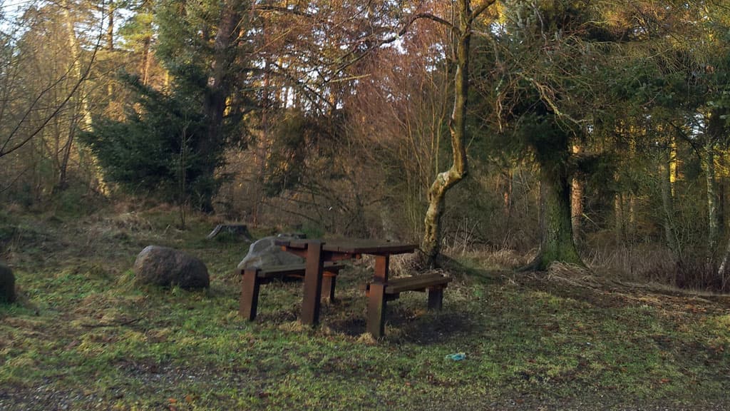 Lilleheden Klitplantage