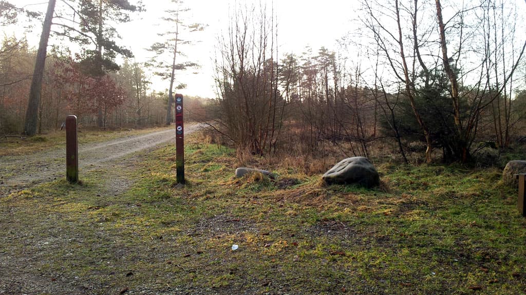 Lilleheden Klitplantage