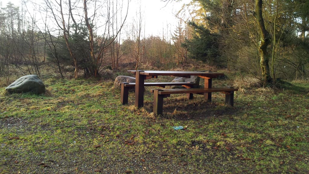 Lilleheden Klitplantage