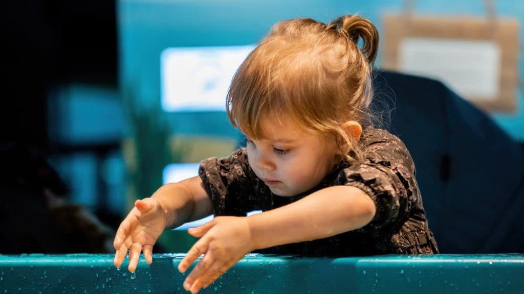 Bedsteforældreweekend 15. – 16. november