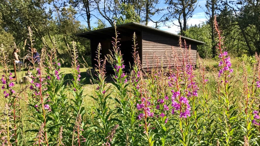 Janum Kjøt, Shelter