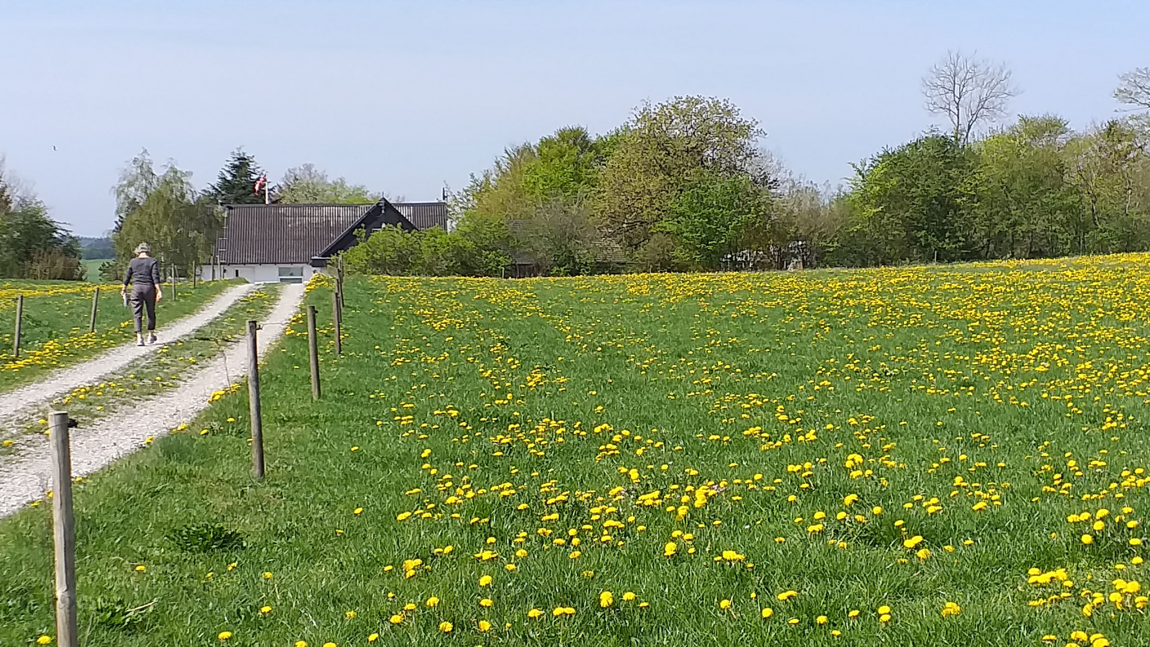 Brovst Bed & Breakfast