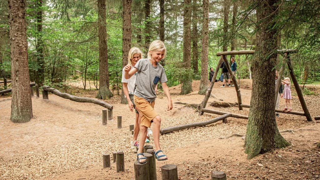 Drenge leger på legeplads