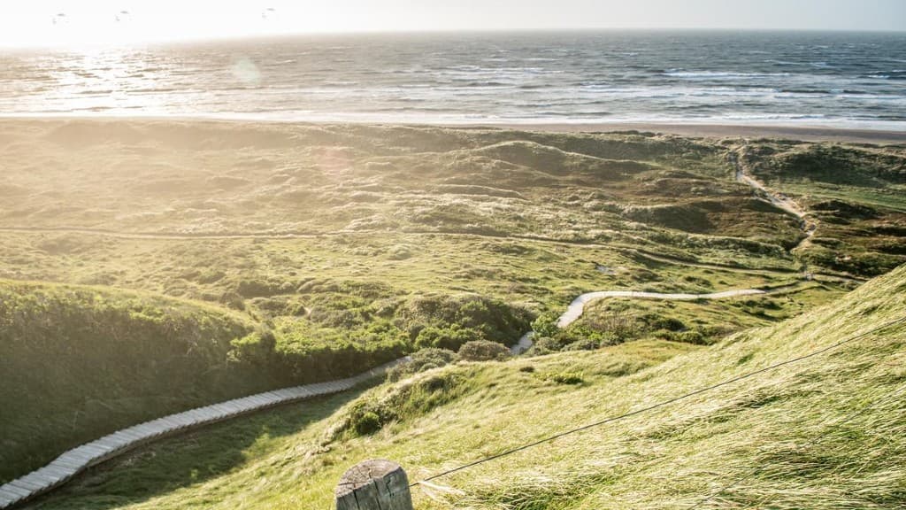 Sti til Svinkløv strand