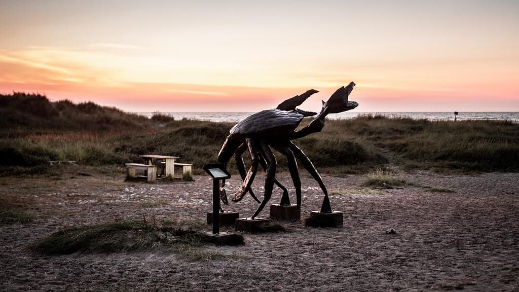 Krabbe i Slettestrand