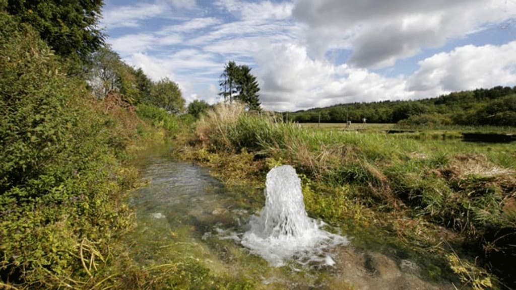 Skillingbrokilden og Thingbækkilden