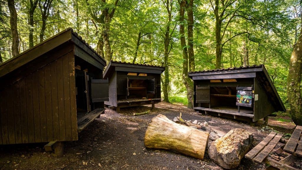 Overnat i det fri i Rold Skov