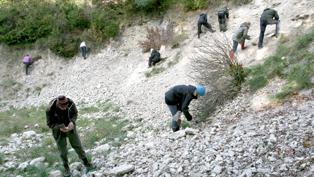 Skillingbro Kalkgrav