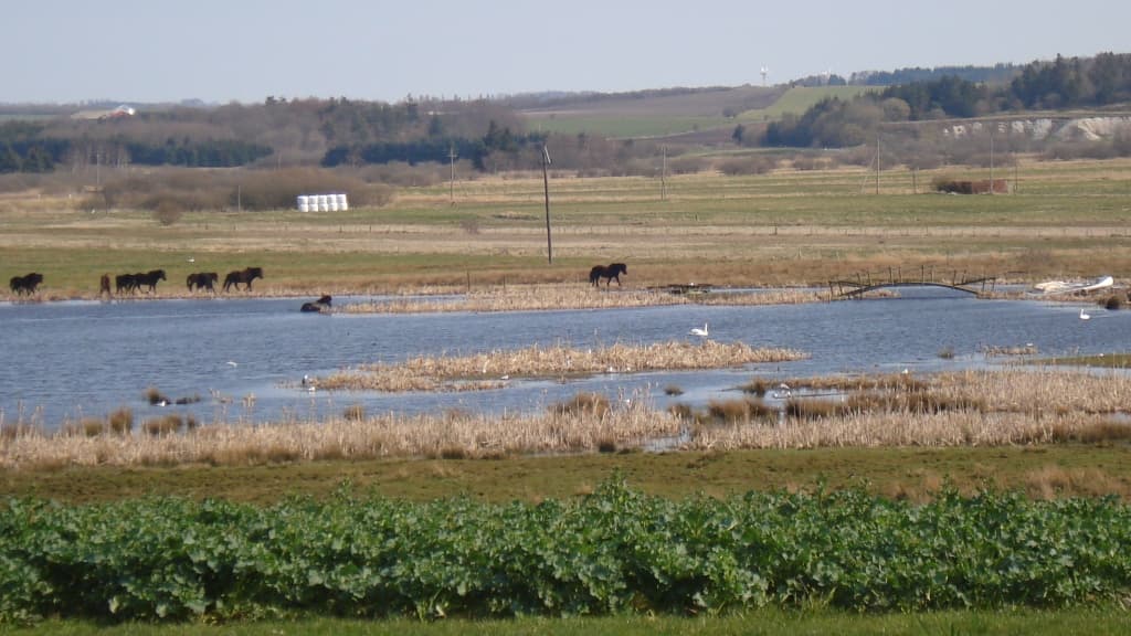 Enggård Bed & Breakfast