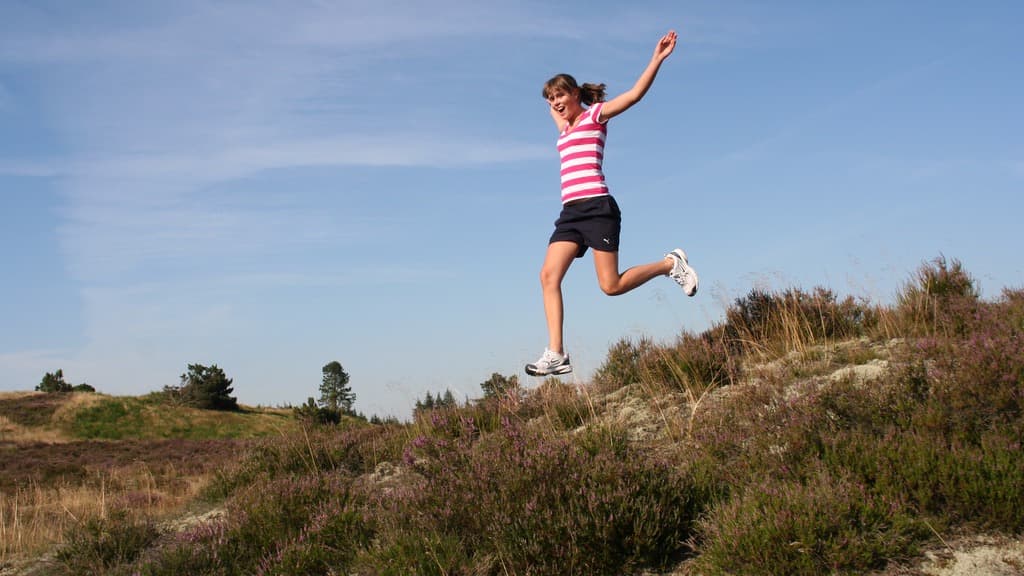 Indlandsklitterne Vrads Sande