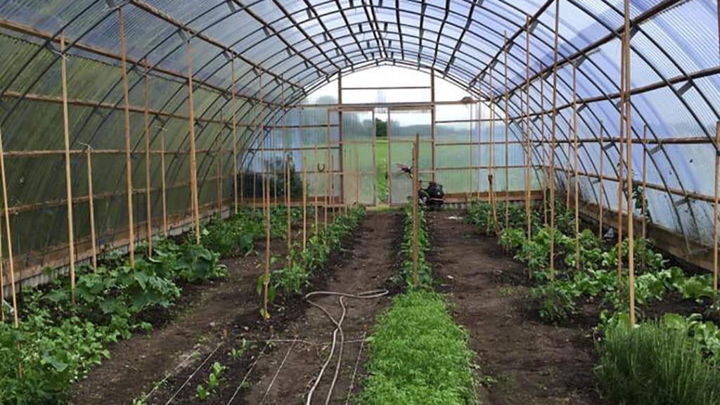 Gothenborg Gårdbutik