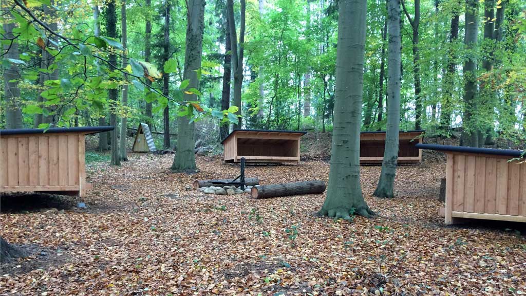 Kollund Skov - Shelterplads