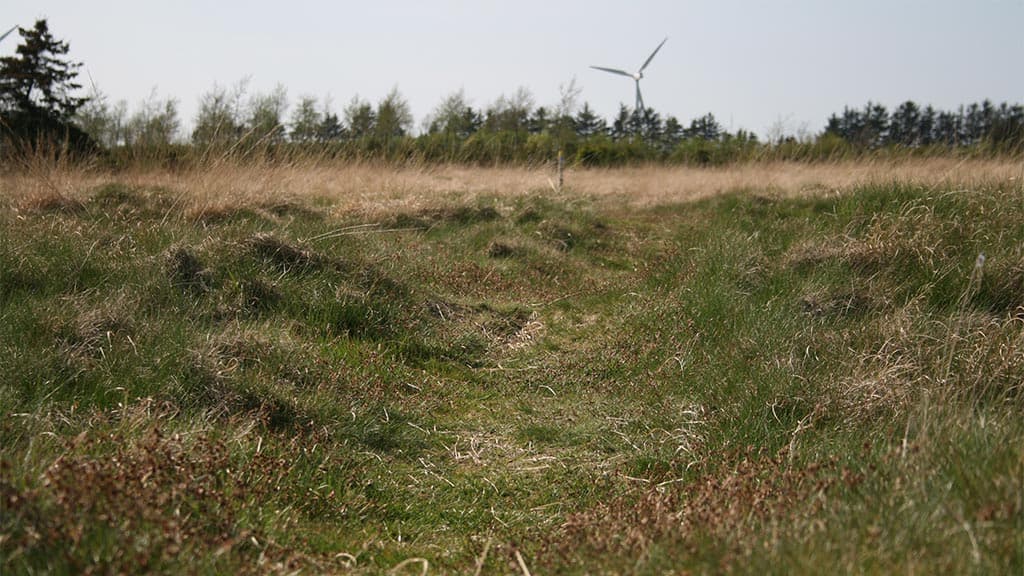 Fredet Hærvej, Bække