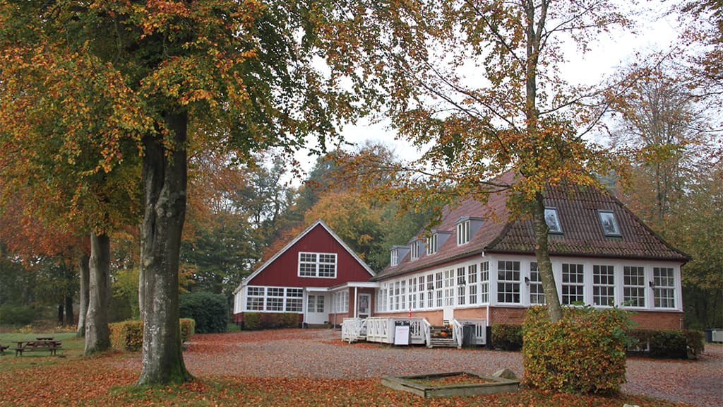 Cafeén på Jels Voldsted