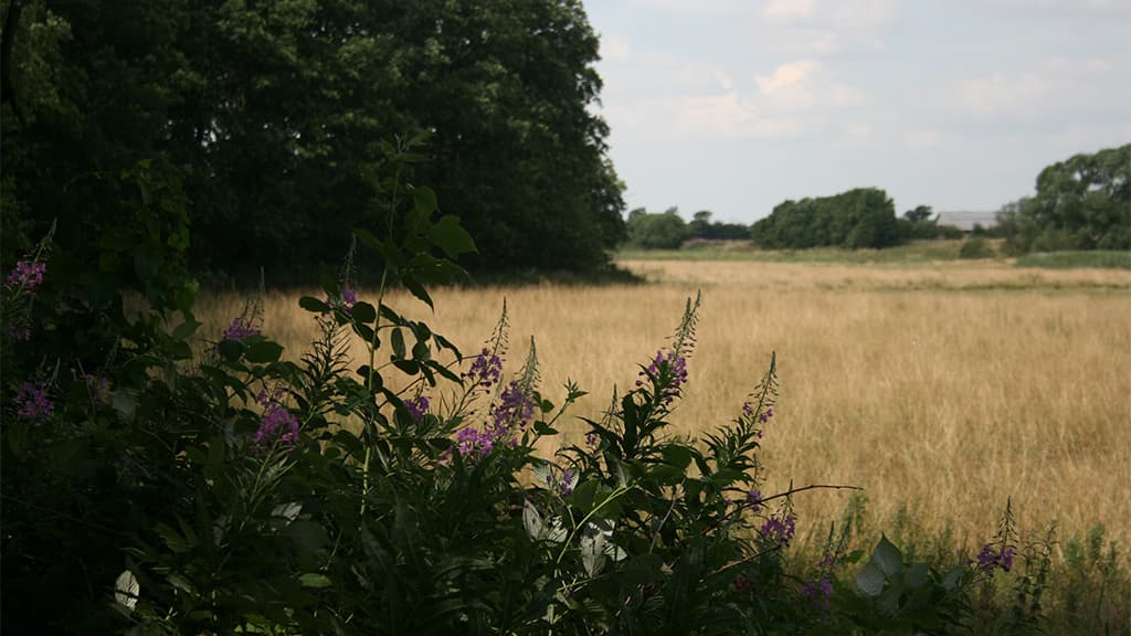 Teltplads - Frihedsbroen, Københoved